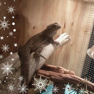 Meet your Posher, Karla